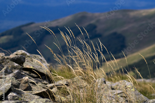 Beauty of mountains seen from tourist trail