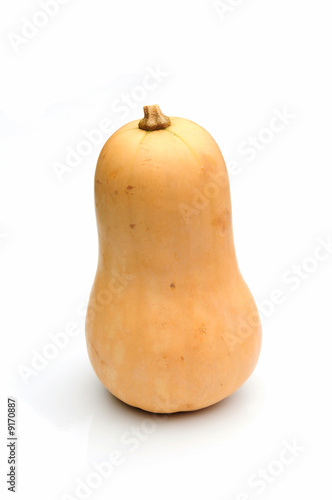 butternut squash photo