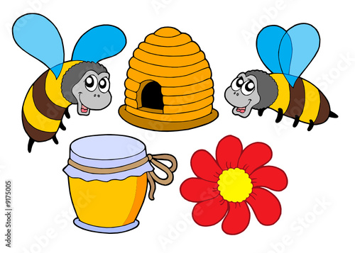Bee and honey collection