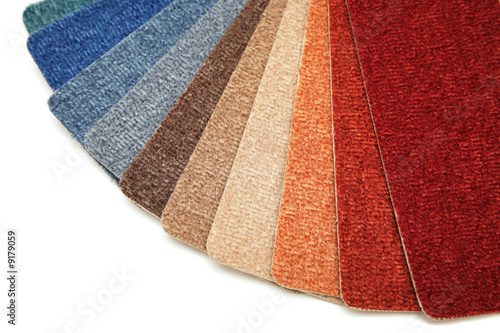 Samples of color of a carpet covering.