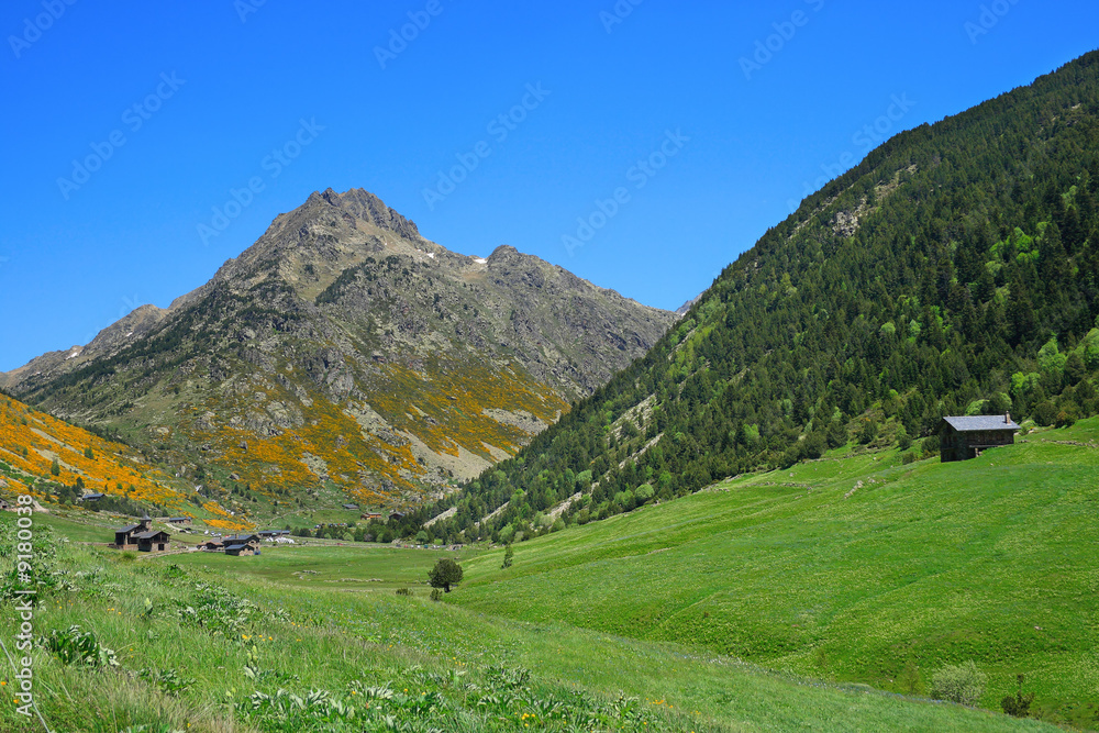 Vall d'Incles landscape with Alt de Juclar peak in background.