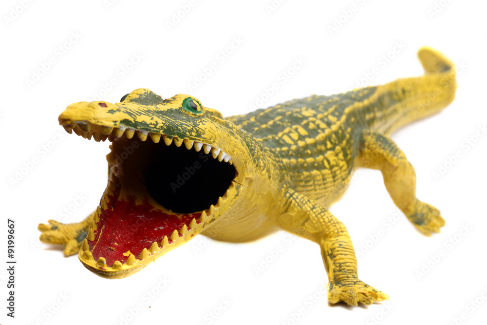 Fototapeta premium Crocodile toy isolated on white