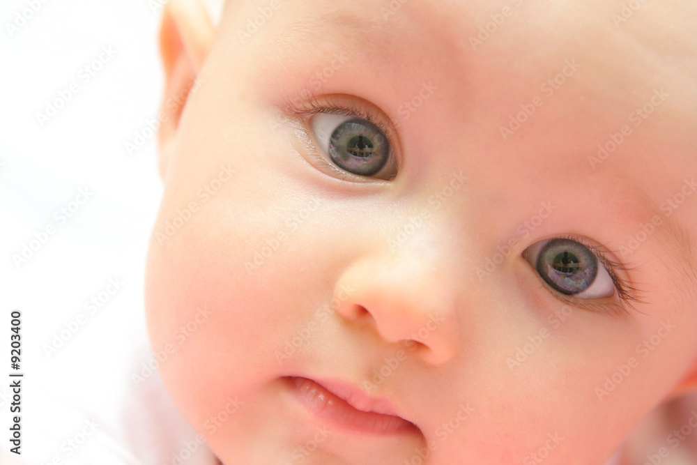 baby portrait baby portrait