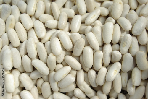 mojettes