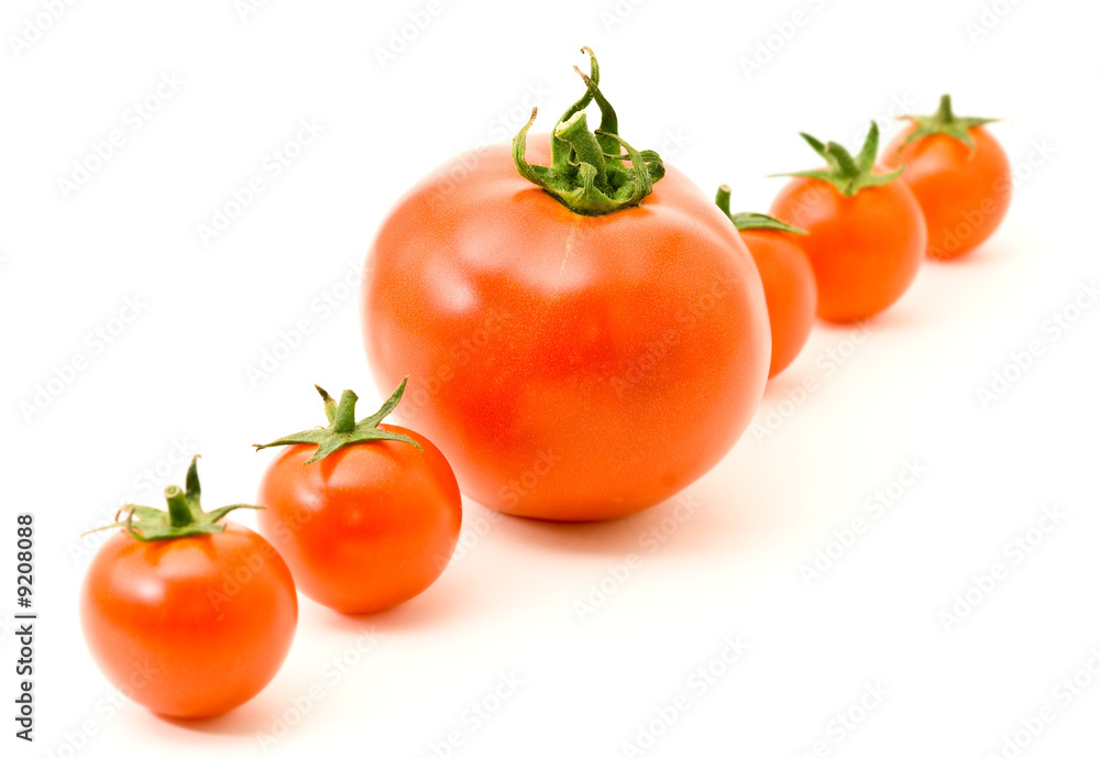 concept idea Distinguish yourself. Row of tomatoes over white concept idea Distinguish yourself. Row of tomatoes over white