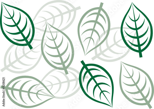 Leaf