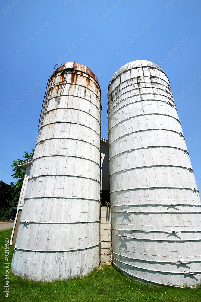 Twin Towers Of Old Barn
