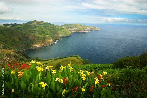 Spring landscape - San Miguel Island, Azores, Portugal photo