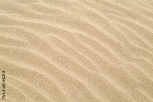 ripples in the sand © dkimages
