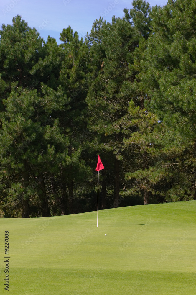 Golf putting green with a red flag and ball Golf putting green with a red flag and ball