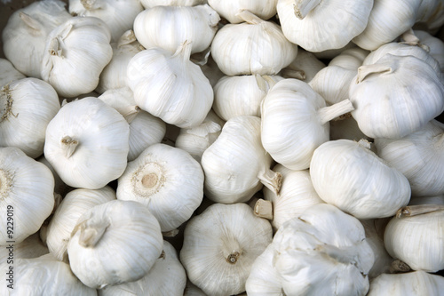 Garlic background