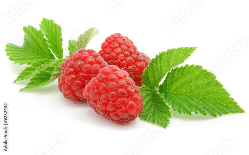 berries ripe raspberry with leaf isolated on white background
