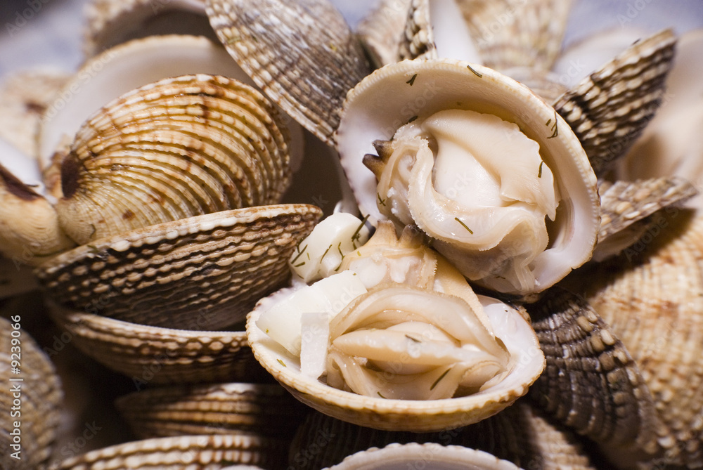 Cockles (Cerastoderma edule) dish with dill Cockles (Cerastoderma edule) dish with dill