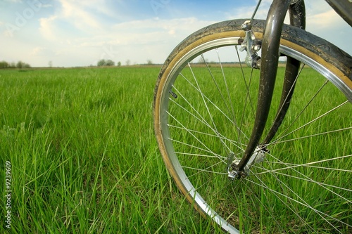 Bicycle wheel on a green field