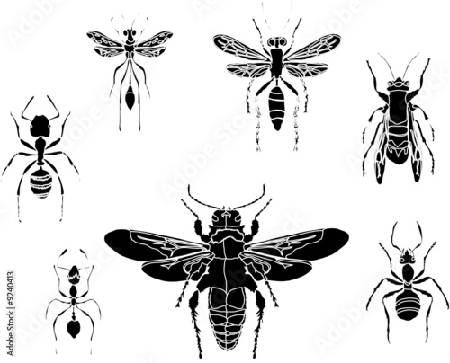 ants and wasps silhouettes