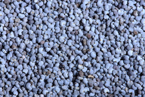 Poppy seeds close-up background texture