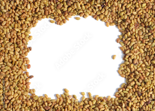 Colorful seeds mixture close-up background texture