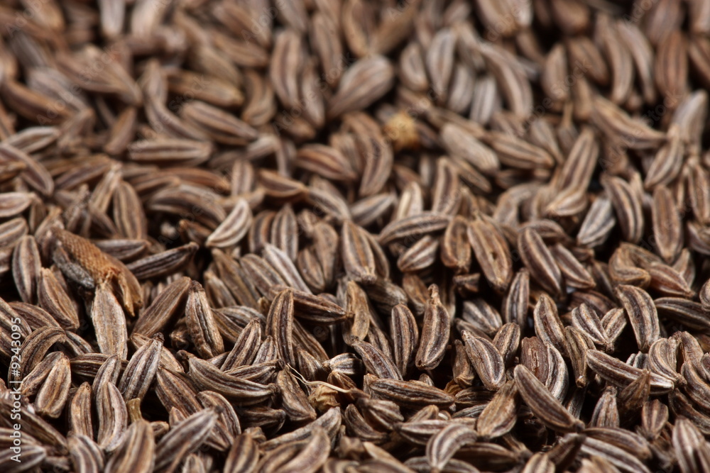 Caraway seeds close-up background texture