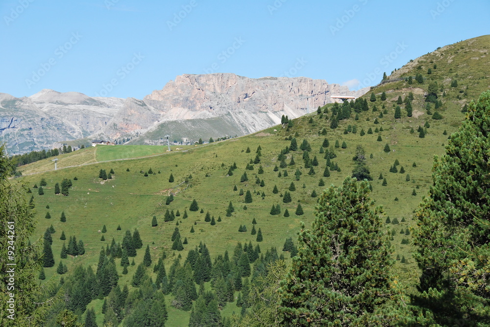 prateria alpina