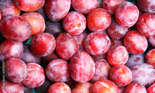 Lots red ripe plums, may be used as background