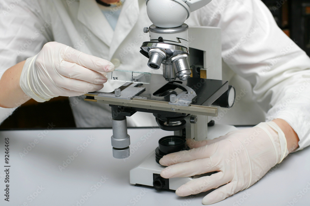 Work with a microscope Work with a microscope