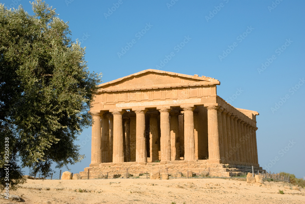 doric temple of Concordia in Agrigento with olive tree doric temple of Concordia in Agrigento with olive tree