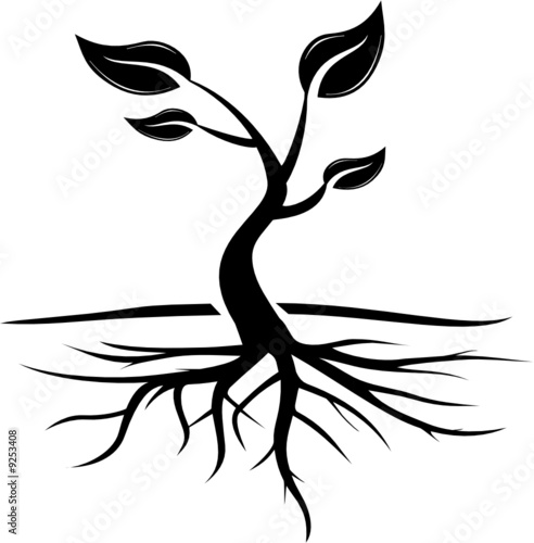 ARBRE ENRACINES TWO