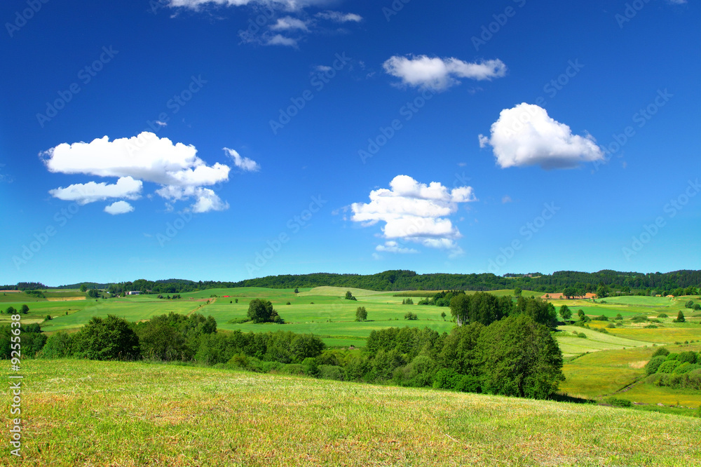 Obraz premium summer landscape with cumulus clouds above