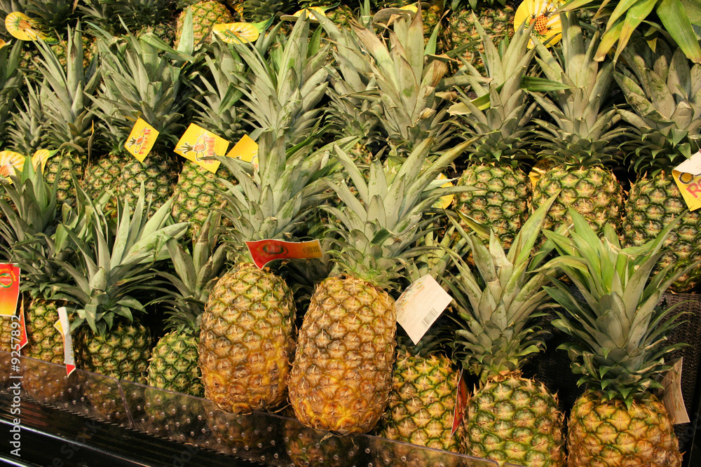 rows of  pineapples