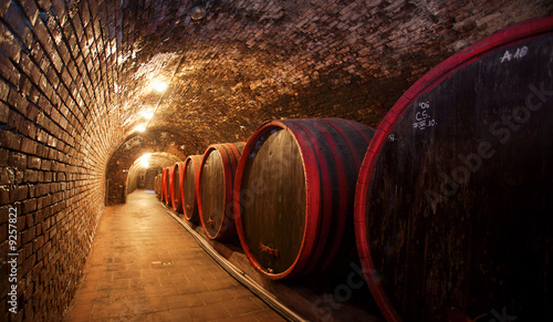 Quadro su tela Wine barrels stacked in the old cellar of the winery.
