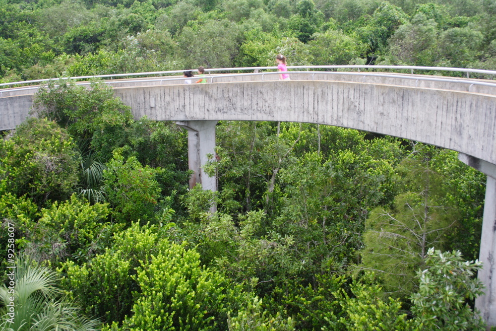 Everglades Everglades