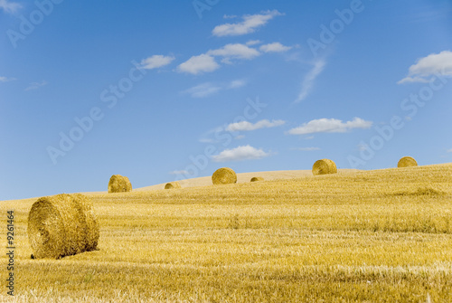 paysge champêtre