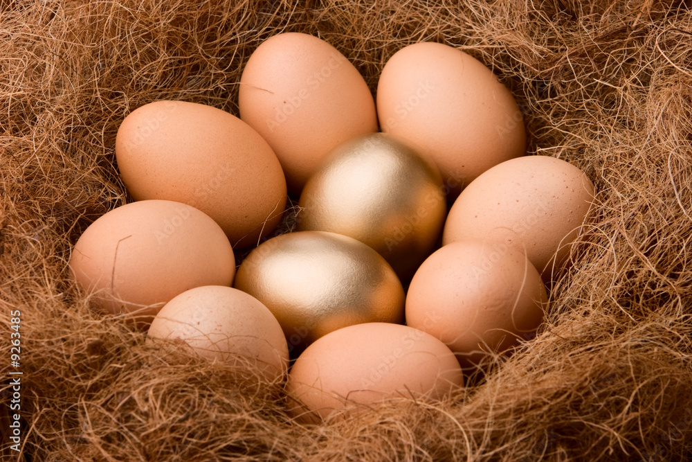 Two golden eggs between eight regular ones