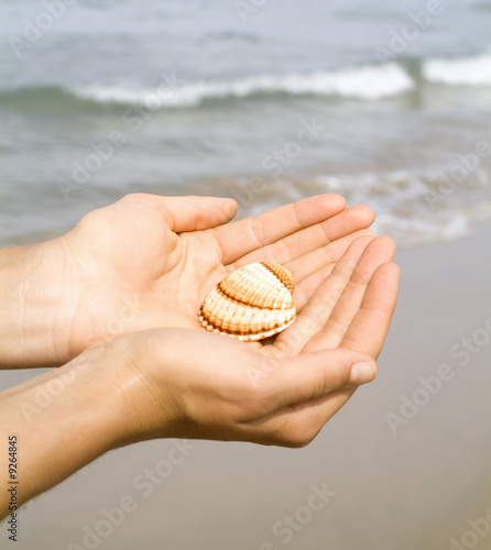 girl holding a shell in her hands at the beach © dkimages