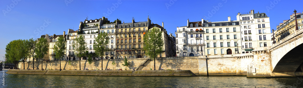 France, Paris: Panoramic city view with Seine river