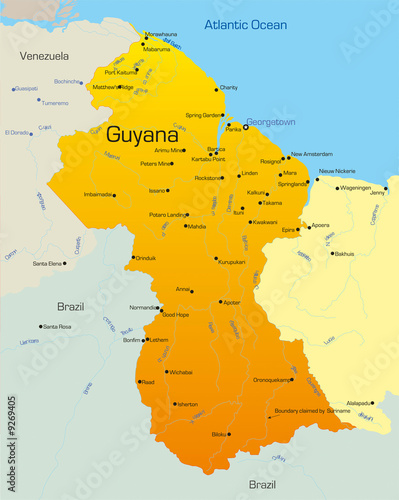 Картината върху платно Abstract vector color map of Guyana country