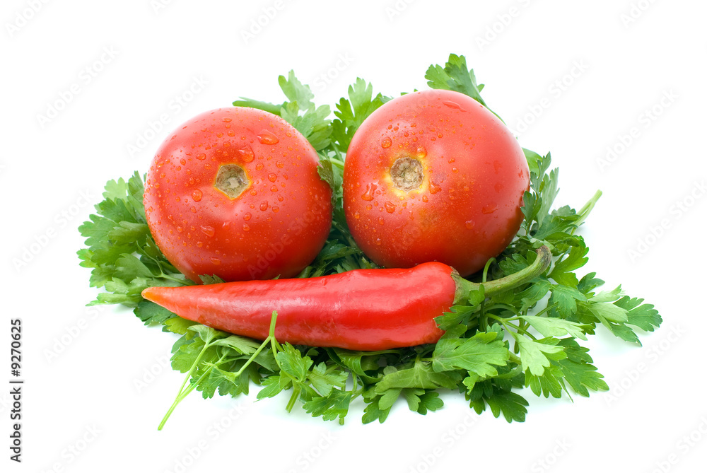 Two ripe tomatoes and red chili pepper over some parsley