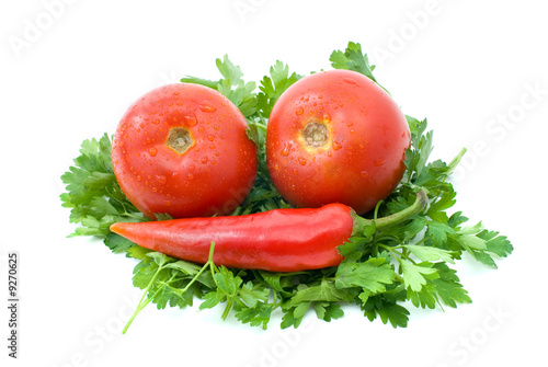Two ripe tomatoes and red chili pepper over some parsley