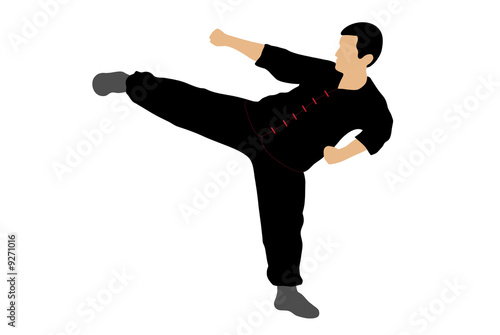 Colour silhouette of  karate man kicking high