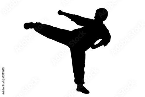 Black silhouette of  karate man kicking high