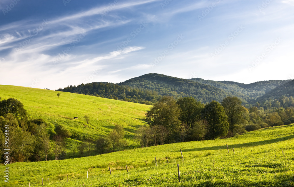View of green trees, meadow and mountains and blue sky..