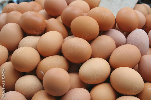 eggs - a vital source of protein