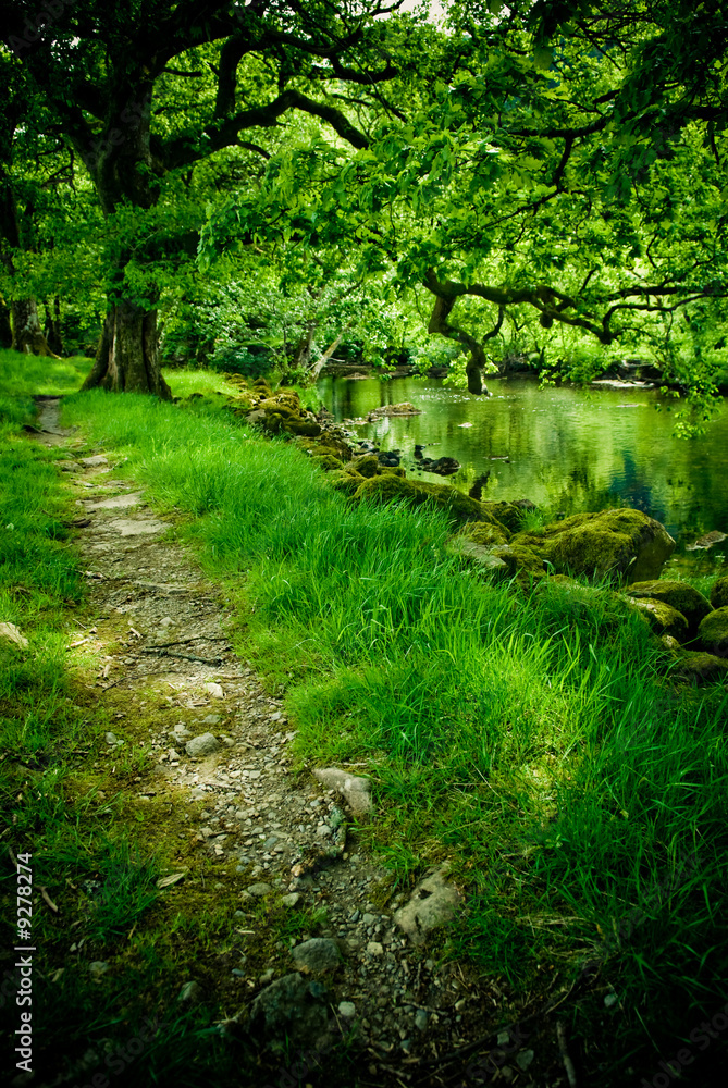 Fototapeta premium Amazing green, lush river scene
