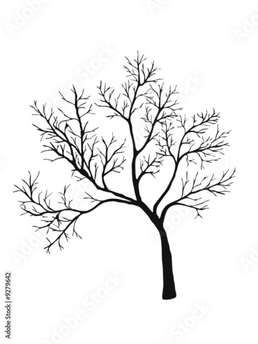tree shiluette