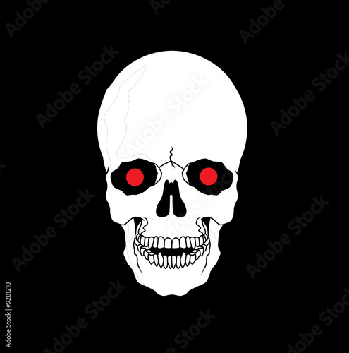 skull vector