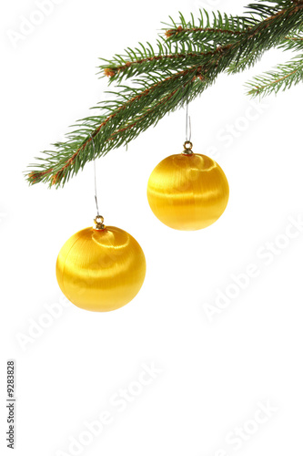 Colorful christmas balls on spruce branch isolated on white