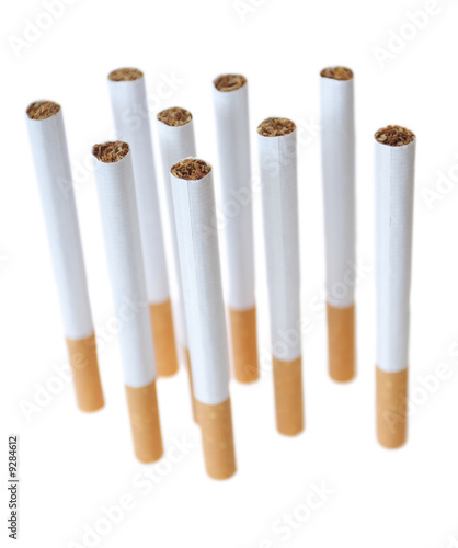 Cigarettes standing upright isolated on white