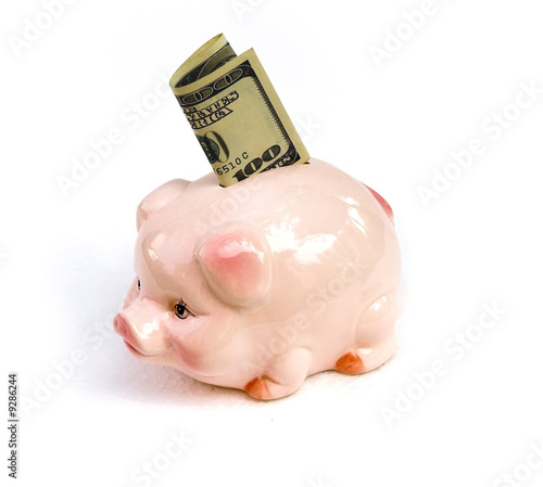 Pig with 	 One hundred dollars