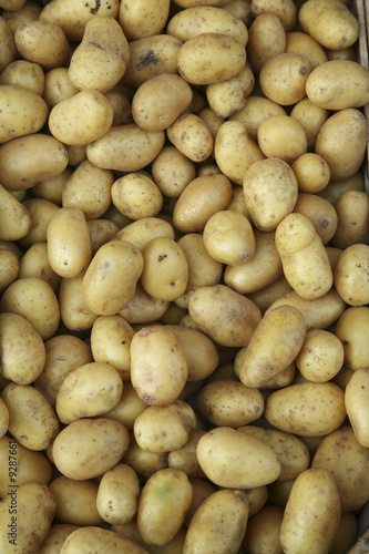 Potatoes background