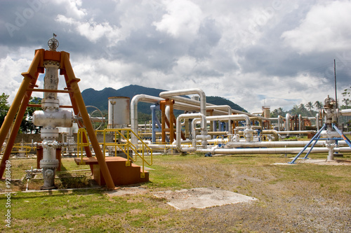active geothermal wells supplying steam to a power facility
